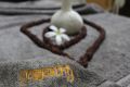 Yogpathy gallery