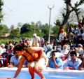 YOGPATHY ACT ON ANTI-ADDICTION CYCLE.
