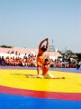 YOGPATHY ACT ON ANTI-ADDICTION CYCLE.